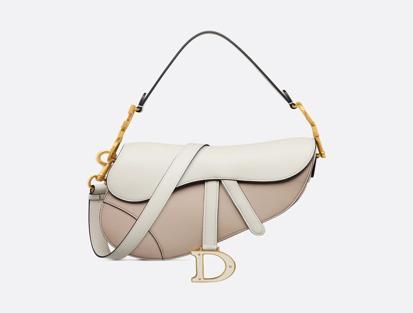 Dior Saddle Leather Bag in Latte and Beige