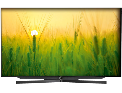 Loewe BILD 7 55"