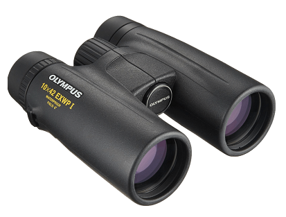Olympus 10x42 EXWP I