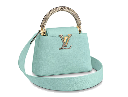 Louis Vuitton Capucines Mini